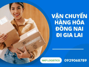 vận chuyển hàng hóa Đồng Nai đi Gia Lai