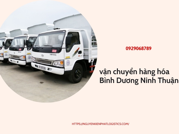 vận chuyển hàng hóa Bình Dương Ninh Thuận